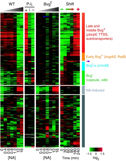 FIG. 4.