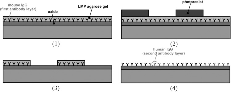 Figure 19