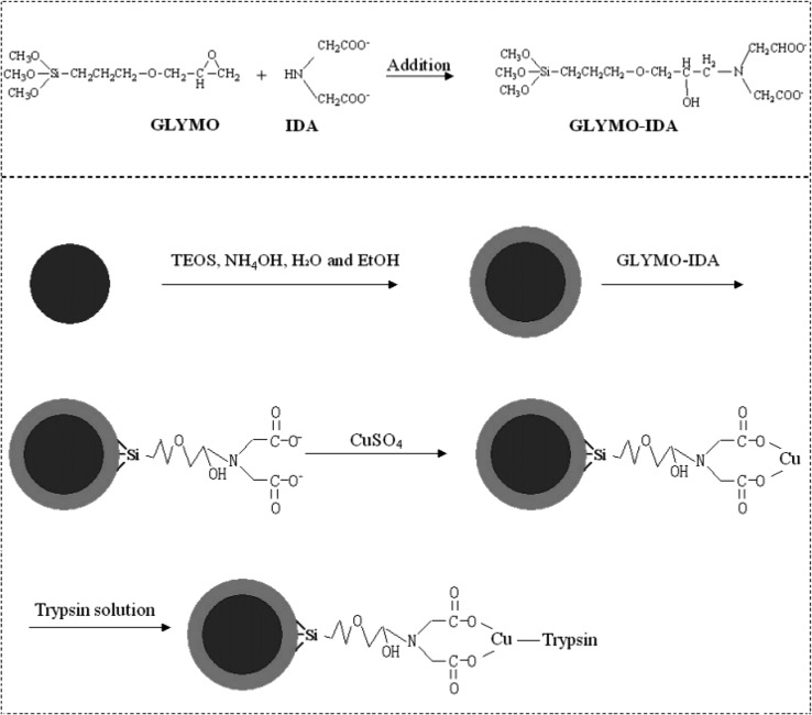 Figure 24