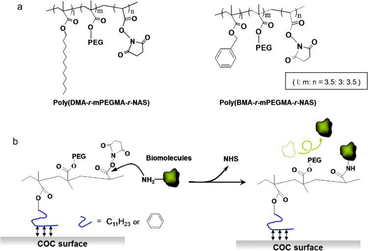 Figure 25