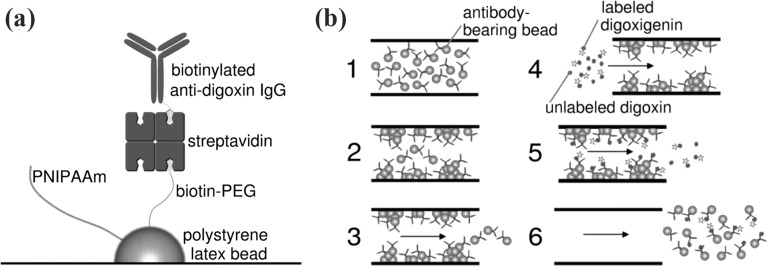 Figure 21