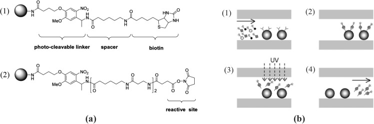 Figure 20