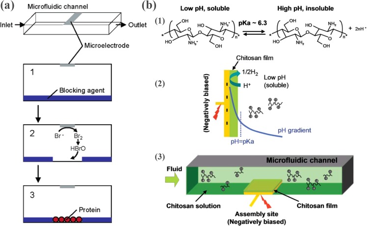 Figure 22