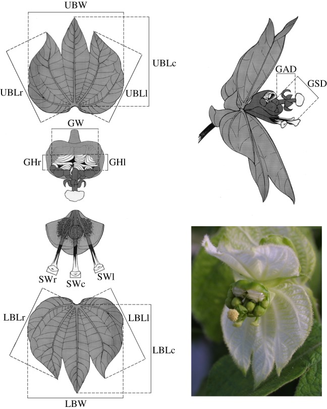 Figure 2.