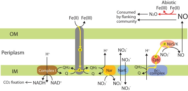 FIG 3