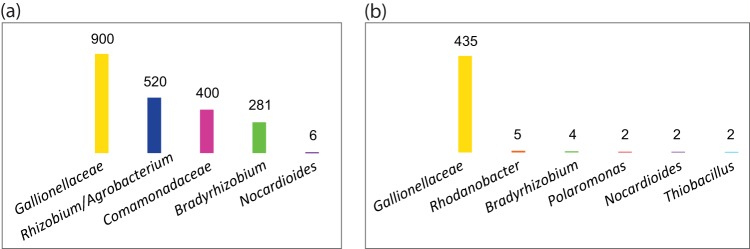 FIG 1