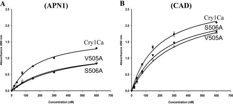 FIG 2