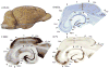 Figure 20