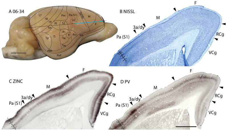 Figure 15