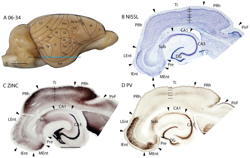 Figure 20