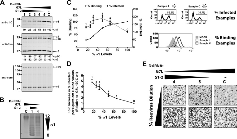 FIG 4