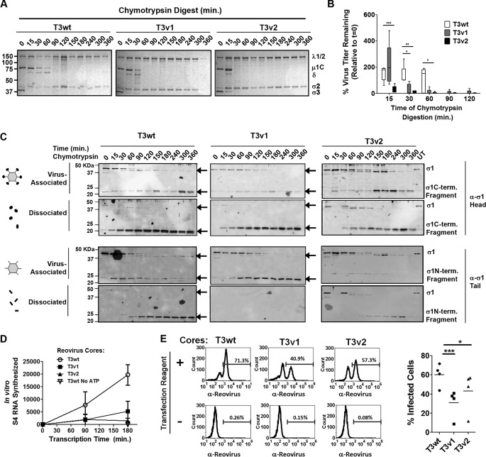 FIG 6