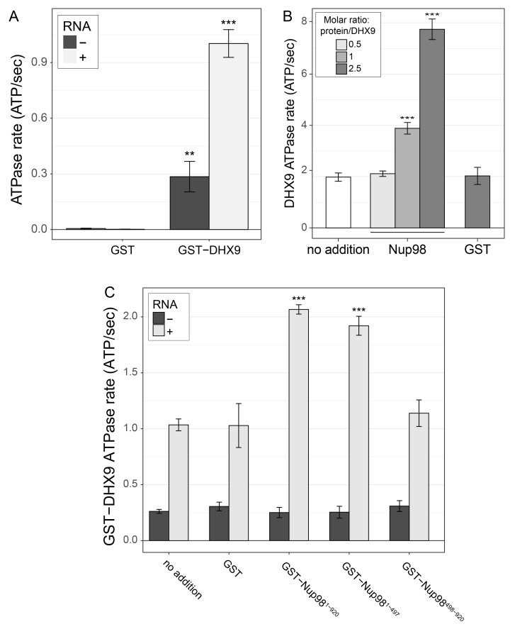 Figure 7—figure supplement 1.