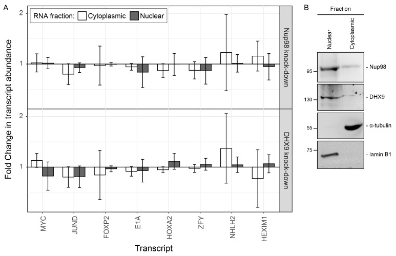 Figure 9—figure supplement 2.