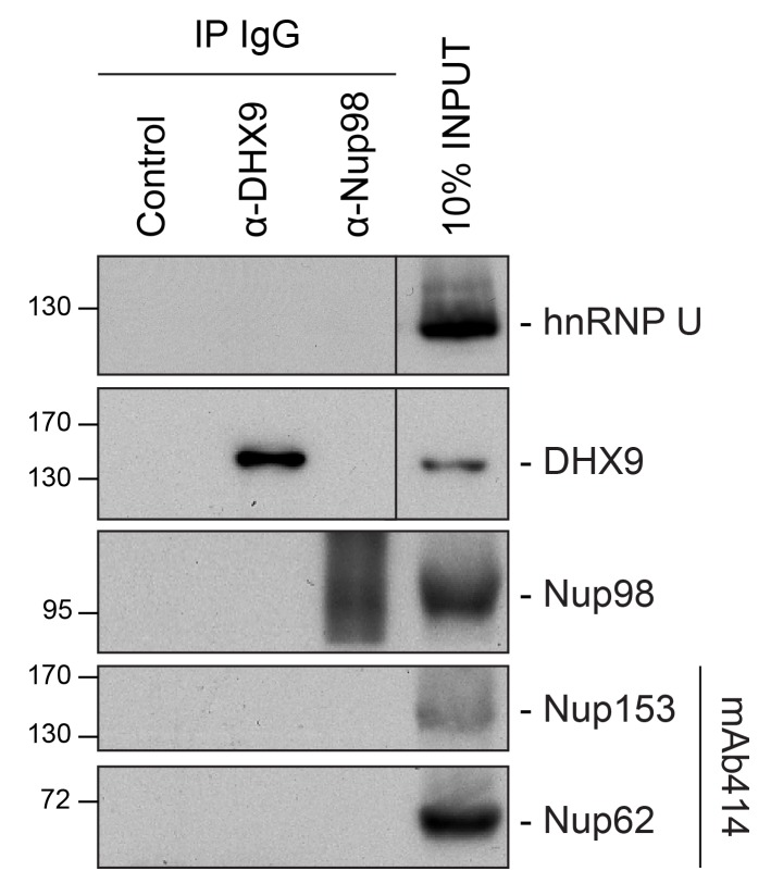 Figure 8—figure supplement 1.