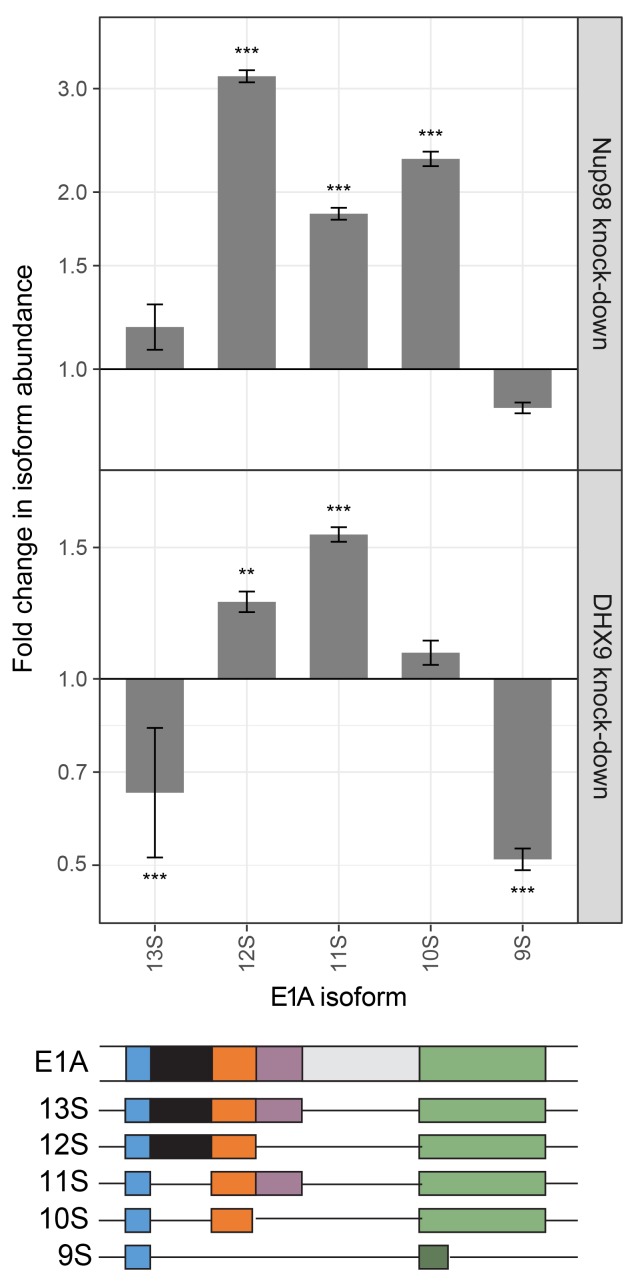 Figure 13.