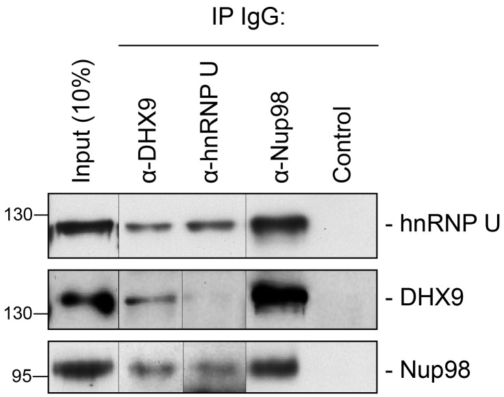 Figure 2—figure supplement 1.