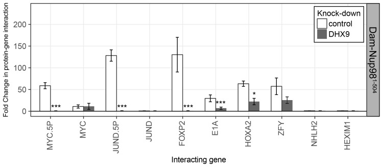 Figure 10—figure supplement 1.