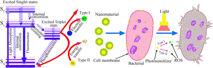 FIGURE 1