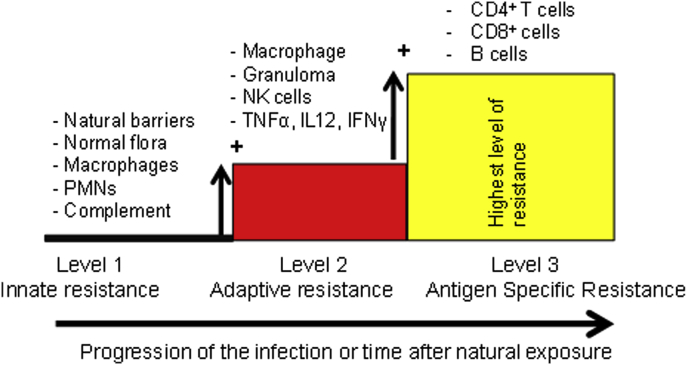 Fig. 1