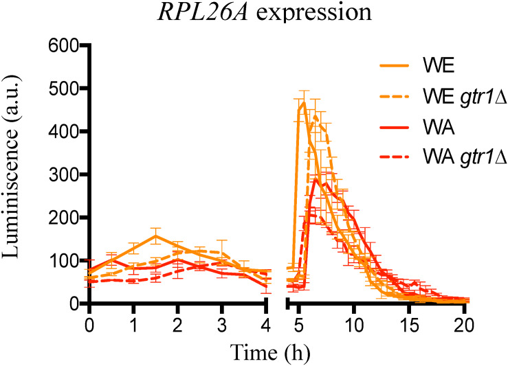 FIGURE 2