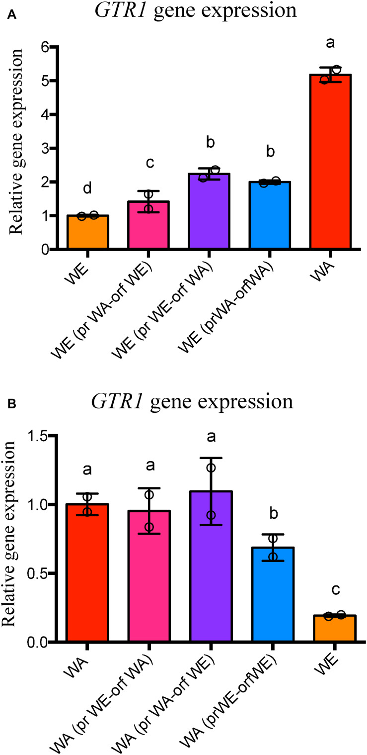 FIGURE 4