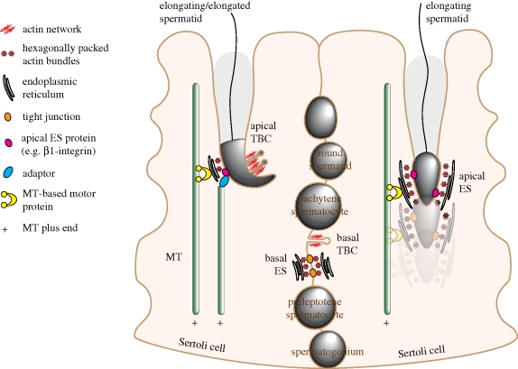 Figure 1.