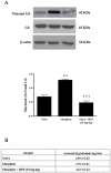 Fig 5