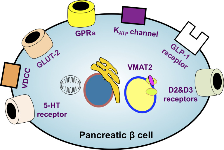 Figure 2