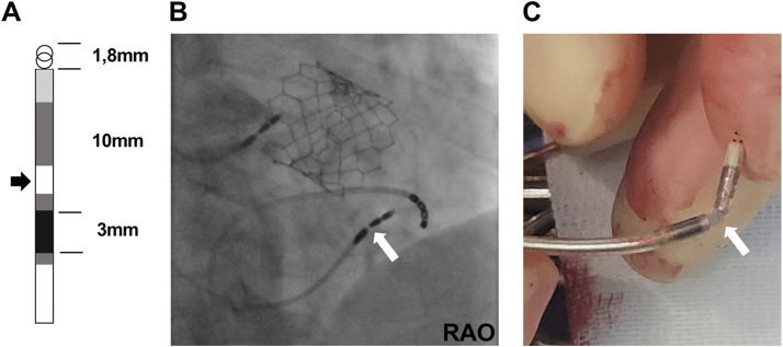 Figure 2