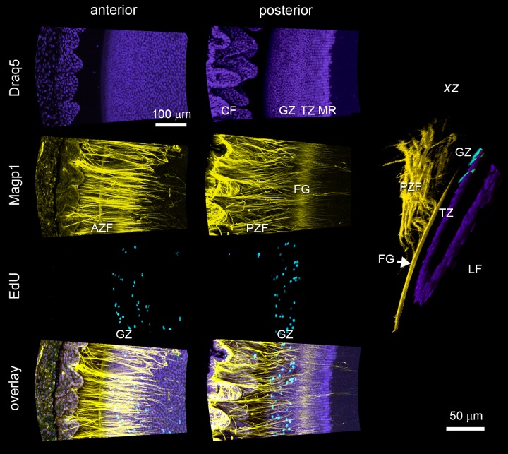 Figure 10. 