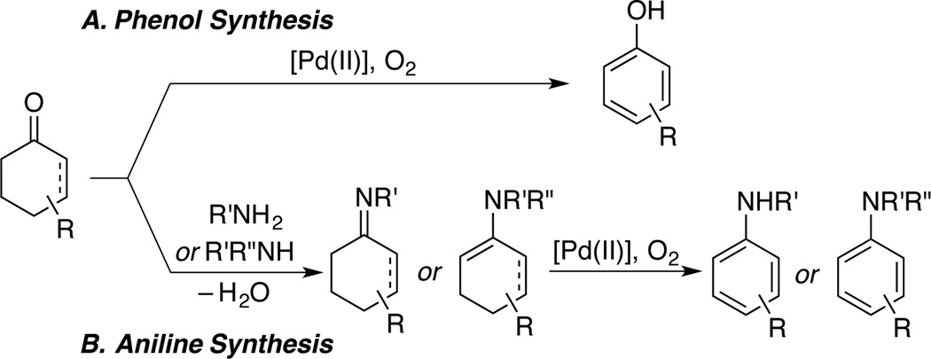 Scheme 2