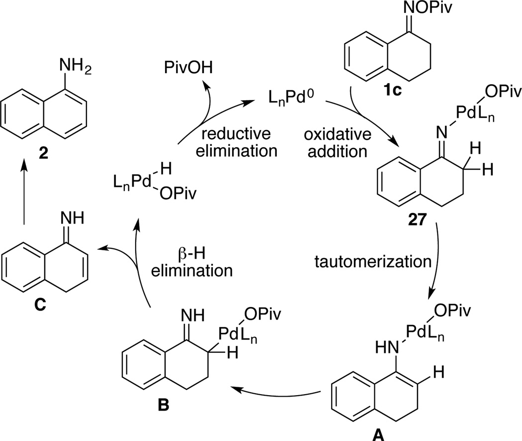 Scheme 5