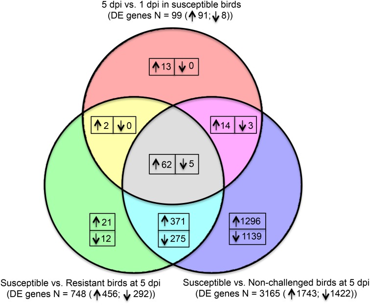 Fig 5