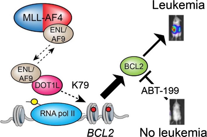 Figure B.4