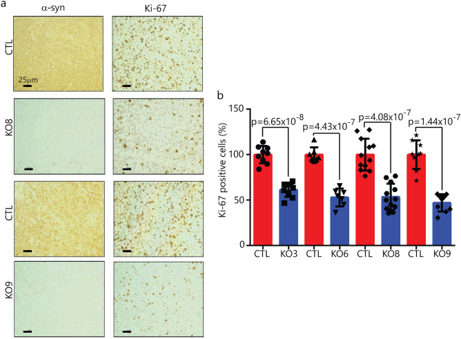 Figure 6