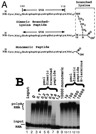 FIG. 7