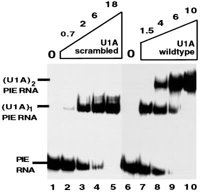 FIG. 5