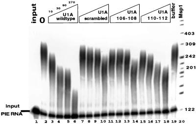 FIG. 6