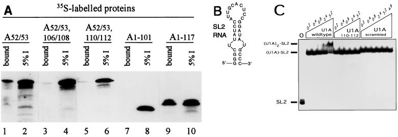 FIG. 4