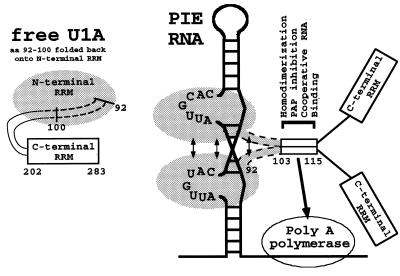 FIG. 8