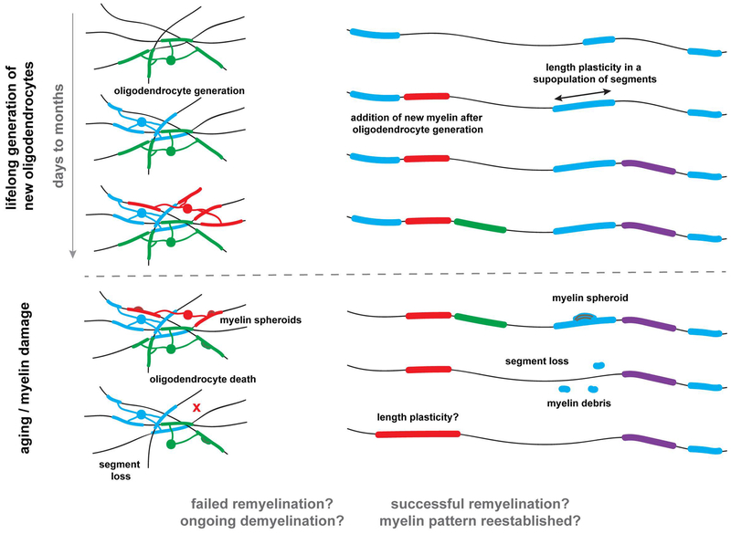 Figure 3: