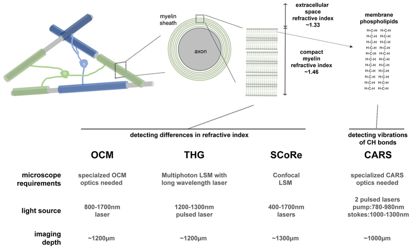 Figure 1: