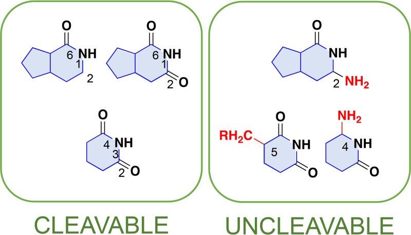 FIG 6