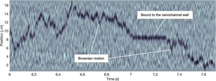 Extended Data Fig. 5