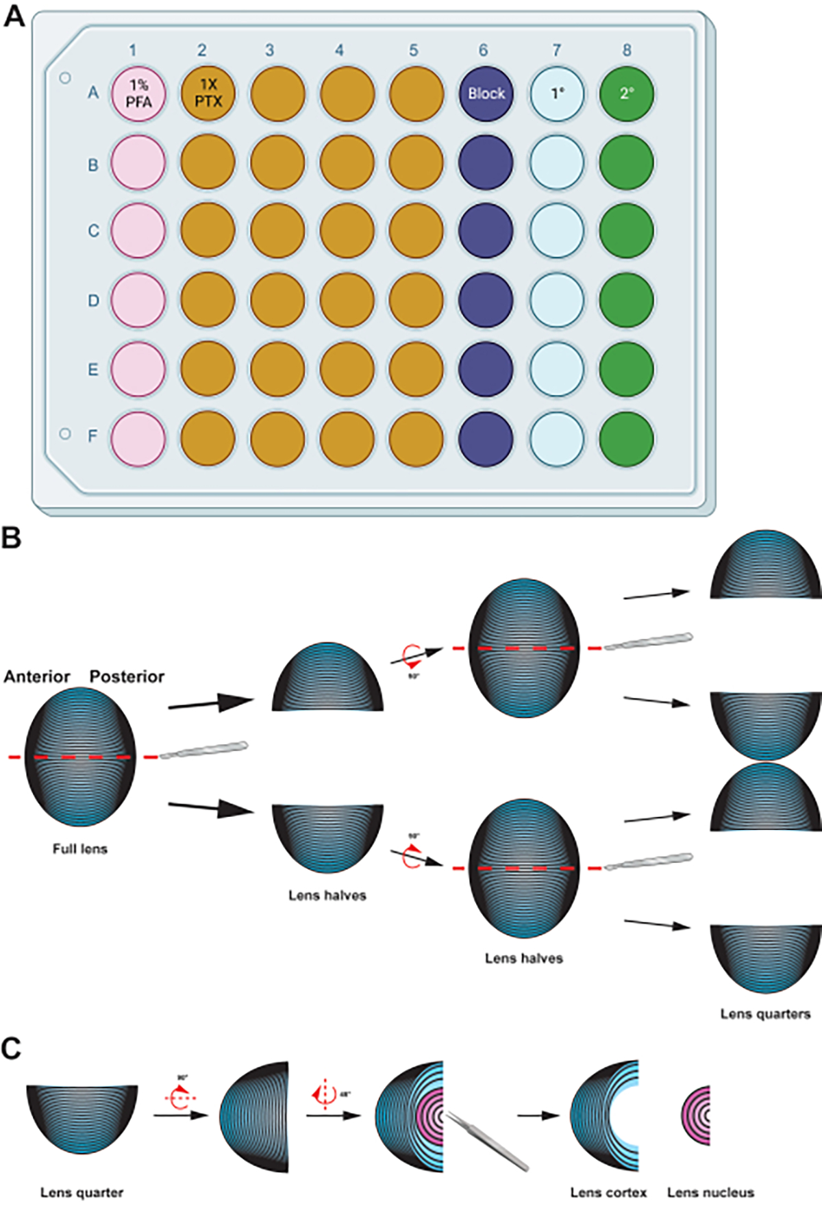 Figure 2: