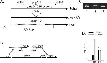 FIG. 4.