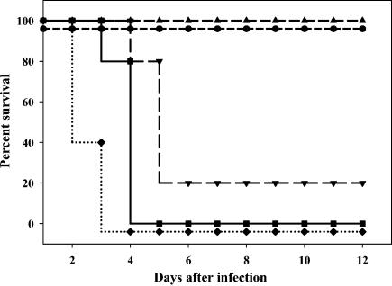 FIG. 6.