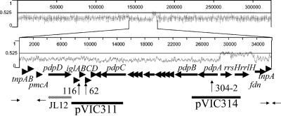 FIG. 1.