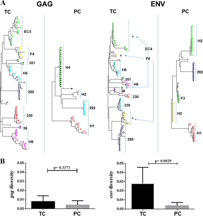 FIG 6